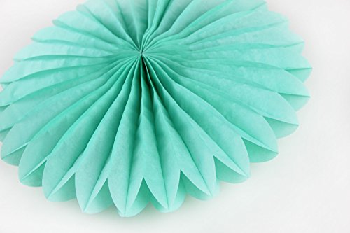 SUNBEAUTY Set Tissue Papier Pompom & Fan & Honeycomb Wabenball & Wassertropfen & Lampion Türkis Mint Serie Mixed Hochzeit Geburtstag Feier Party Dekoration - 4