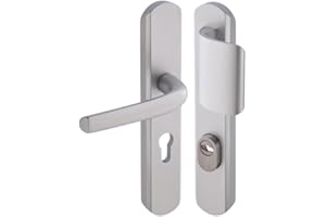 Vachette Poignée de porte blindée sur Plaque pour porte Palière Secumax One - Entraxe 195 mm - Pose Facile - en Aluminium - Protecteur de Cylindre Inox Ajustable de 5 mm - Argent - Garantie 10 Ans