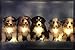Produktbild Samarkand-Lights LED-Bild mit Beleuchtung LED- Bilder Leinwandbild 65 x 45 cm Leuchtbild Hunde Australian Shepherd Wandbild