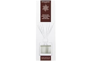 PARFUM BERGER Berger Perfume, Reed Room Diffuser in a Clear Cube Cedar of Lebanon CÈDRE DU LIBAN TRANSPARENT transparent
