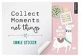 Image de myNOTES Stickerheft Collect moments not things: Coole Sticker
