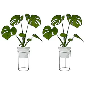 ROYAL WAVES Plant Stand Mid Century Modern Pot Stand Indoor Stand & Pot Holders Stand, Flower Pot Holder Plants Display pots Stand - (Black, Pack of 2)