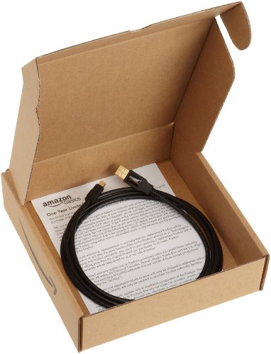 AmazonBasics C  ble USB 2 0 m  le A vers m  le mini B 0 9 m