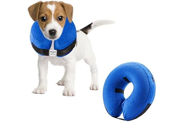 amazon buster collar