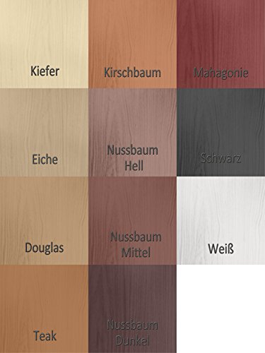 Borma Long-Life Holzschutz Lasur Alkydharz Holzlasur Premium UV-Langzeitschutz (375 mL., Douglas) - 2