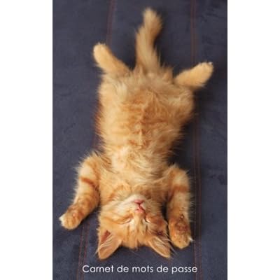 Carnet de mots de passe: Journal d’adresses de sites web et de mots de passe - Couverture avec un chaton caramel qui se détend