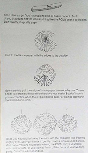 Fanaticism 20er Set Seidenpapier PomPoms weiß rosa  Hochzeit Party Deko, 25cm - 4