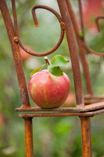 Rosenbogen aus Metall 12mm Massiveisen! B: 140cm Roheisen / Rost – sehr stabil - 2