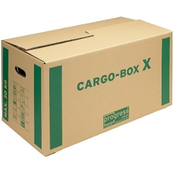 Pack Da 10 Grandi Scatole Di Cartone Con Manici 500 X 300