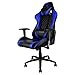 Produktbild ThunderX3 TGC15BB - Professioneller Gaming-Stuhl (Racing Style, Kunstleder, höhenverstellbar und neigbar, Armlehnen, Kopfstütze, Lumbalkissen, 4-Rated von BIFMA) Blaue und schwarze Farbe