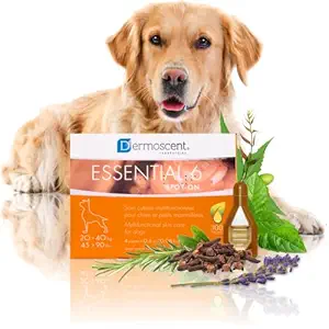Dermoscent SpotOn Skin Care for Large Dogs (20 40 kg)