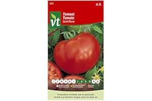 ARBORIX, PLUS VERT - MOINS CHER Tomate Saint Pierre Graines - Variété produisant de gros fruits ronds lisses à chair ferme
