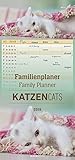 Familienplaner Katzen 2019 - Familientermine / Familientimer (21 x 45) - 5 Spalten - Wandplaner by 