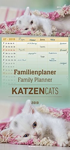 Familienplaner Katzen 2019 - Familientermine / Familientimer (21 x 45) - 5 Spalten - Wandplaner