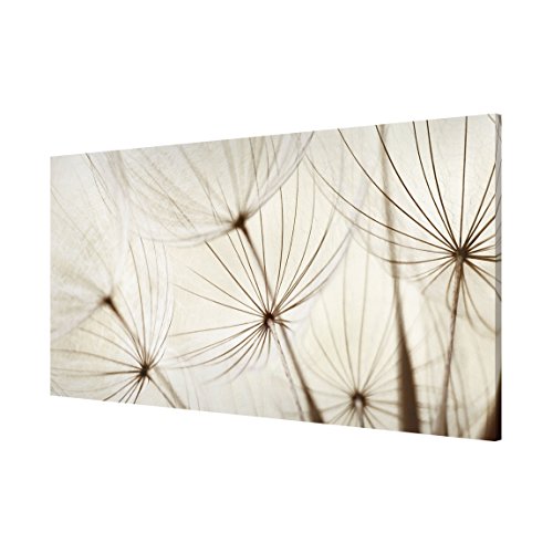 Apalis 108830 Magnettafel Sanfte Gräser Memoboard Design Quer Metall Magnet Pinnwand Motiv Wand Stahl Küche Büro, 37 x 78 cm - 3