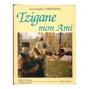 couverture de : Tzigane, mon ami