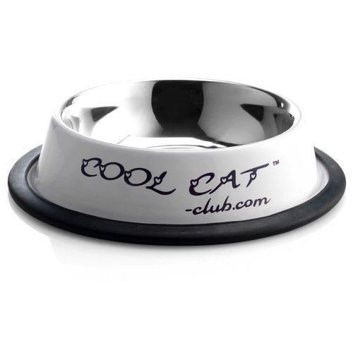 Cool Cat Sip and Snack Stainless Steel Metal Water & Food Cat Bowl Lilac