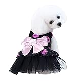 Pet Superstore accesorios de secador de mascotas mascotas y accesorios de cachorro ropa barata perro collares pequeños perro portador barato mascotas suministros mascotas cuidado artículos al por mayor mascotas productos mascotas mascotas trajes mascotas rata accesorios pequeños mascotas accesorios mascotas alimentos proveedores