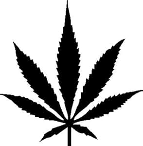 1 x 2 Plott Aufkleber Cannabisblüte Pflanze Hanf Cannabis