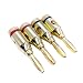 Produktbild Hykis 2St 24k 4MM Gold ¨¹berzogener Lautsprecher Bananenstecker-Adapter Audio Jack Verbindungsst¨¹ck-Schraube Kabel