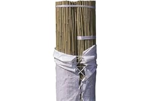 Suinga. 25 x TUTOR DE BAMBU 180 cm, diámetro 10-14 mm. Tutores para plantas, Varillas de Bambú Naturales Ecológicas uso agrícola para sujetar árboles, plantas y hortalizas
