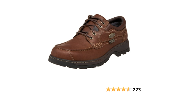 irish setter 3874