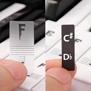 PalaP Piano Attractive Keyboard Removable Stickers New Black & White - Fits for 25, 32, 49, 61, 76 or 88 Keys