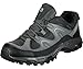 Produktbild Salomon Fortaleza GTX grau - 10/44.5