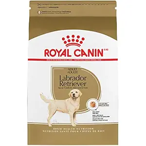 ROYAL CANIN BREED HEALTH NUTRITION Labrador Retriever Adult dry dog food, 30-Pound