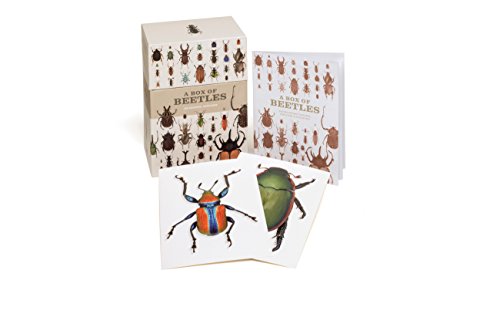 Télécharger A Box of Beetles : 100 Postcards of the Most Striking Breeds Livre PDF Gratuit