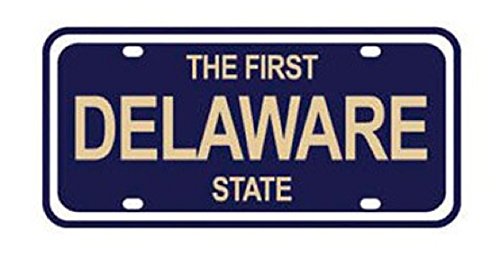 Preisvergleich Produktbild Unbekannt Karen Foster Design State Nummernschild Fotoalben Delaware