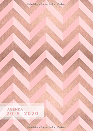 Télécharger Agenda 2019-2020: Agenda 18 mois journalier 2019-20 - format A5 - juillet 2019 à décembre 2020 - p Francais PDF