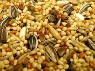 Preisvergleich Produktbild COCKATIEL Mix – Wellensittich – 20 kg 20 kg