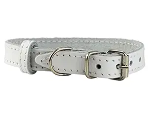 Genuine Leather Dog Collar for Smalles Dogs and Puppies 3 Sizes White (Neck: 8