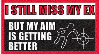 Price comparison product image Funny Car Stickers (Miss My Ex)