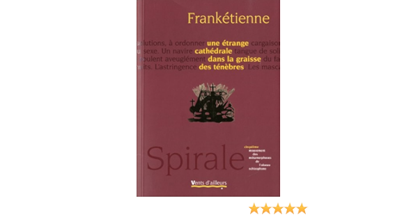 Amazon Fr Une Etrange Cathedrale Dans La Graisse Des Tenebres Franketienne Livres