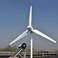 1000W 2000W 3000W Horizontal Wind Turbine 48v 96v 110V 120V 220V Generator for Home Use Free Energy Wind Power Windmill (240V, 2000W)