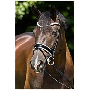 Premiera Trense Valentia, Vollblut | Schwarz/Weiß