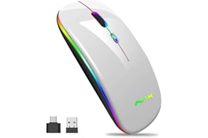 AMZCASE Mouse sottile (Bluetooth 5.0 e wireless 2.4G), USB ottico portatile 2.4G LED a doppia modalità , ricaricabile, per laptop, PC, Mac OS, Android, Windows (Grigio)