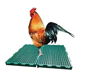 slatted Flooring DCM-Virgin Material Plastic, for Hen cage/Rabbit Size: 2feet*1feet,40mm Thickness