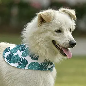 GROOMSOME Leaf Print Dog V-Bandana/Dog Scarf (Size: Medium)