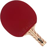 Migliori Racchette Da Ping Pong 2019 Dopo 223 Ore Di