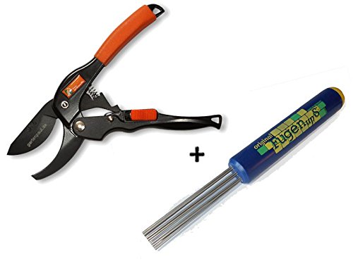 Preisvergleich Produktbild Gartenpaul Set: Fugen Ups Fugenkratzer + Gartenpaul Amboss Gartenschere R1
