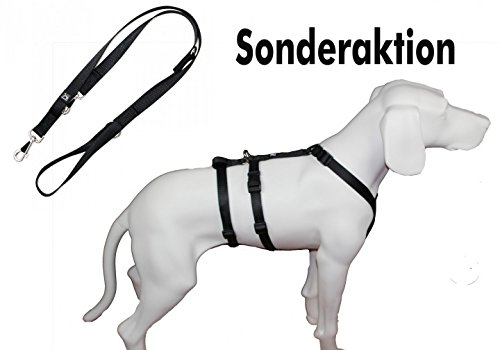 Preisvergleich Produktbild Original NoExit Hundegeschirr® - 100 % ausbruchssicher + stabile, passenende Führleine (210 cm)- Sonderaktion - 10 % Rabatt gegenüber Einzelkauf - Bauchumfang 50-65 cm, 20 mm Bandbreite, uni schwarz