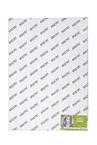 Brustro Artists Drawing Paper 200 GSM A2 Size, 20 Sheets