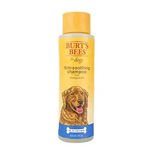 Burts Bee Itch Soothing Shampoo, 16-Ounce