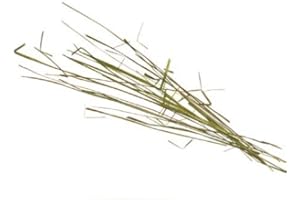 ALCOFERMBREW BISON GRASS 5L - L'erba del Bisonte - Zubrowka | Bison Vodka | Grass Vodka