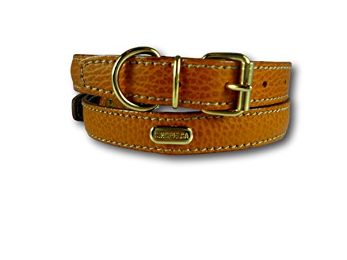 cinopelca dog collar