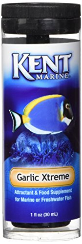 Kent Marine The Best Amazon Price In Savemoney Es