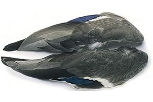 VENIARD Stockente Ente ganze Flügel Fliegenbinden Federn Fliegenbinden Für Forellenfliegen